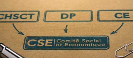 comité social et économique
