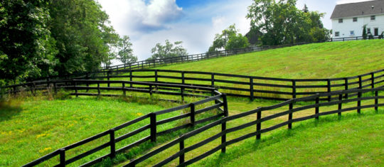 une clôture agricole