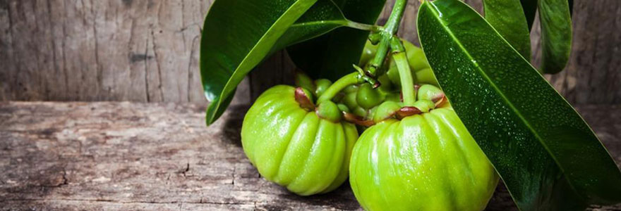 Prendre le Garcinia Cambogia