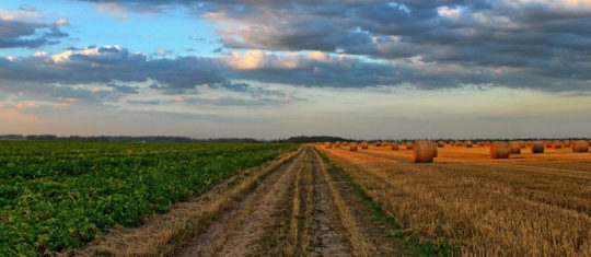 machines agricoles
