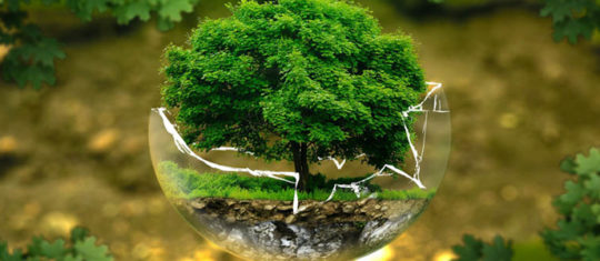 métier dans l'environnement