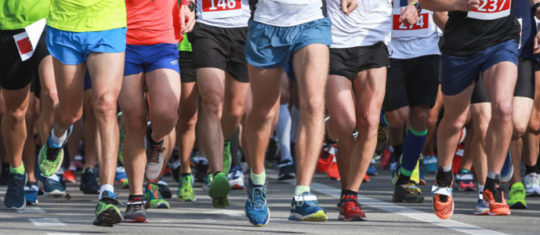Le marathon vert