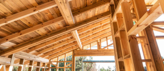 maison en bois