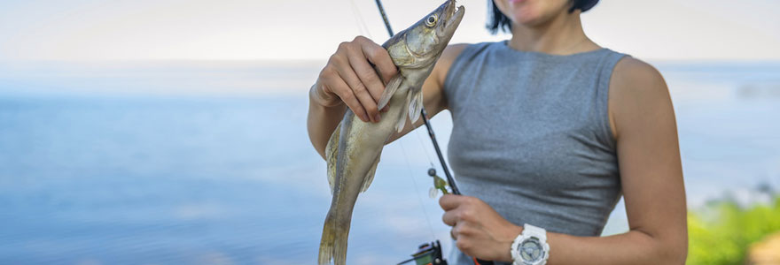 pêche au sandre