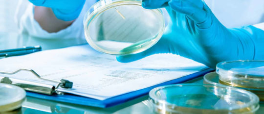 Formation permis d’exploitation et hygiène