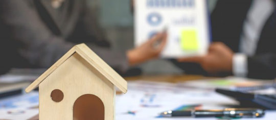 logement neuf