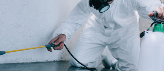 Insecticides