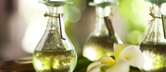 parfum au patchouli