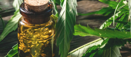 Meilleure huile de CBD