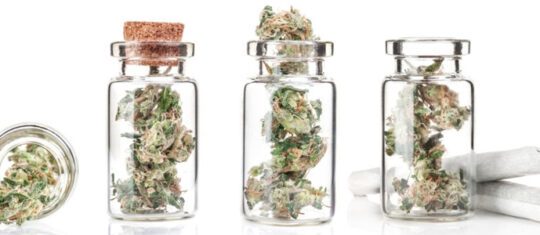 Fleurs de CBD