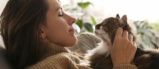 chat